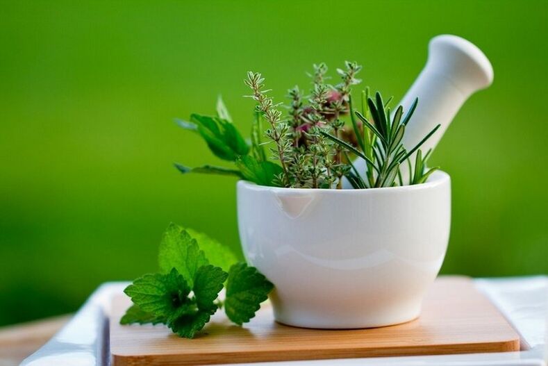herb for the treatment of worms